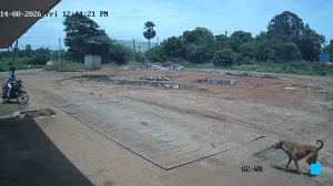 Caméra IP - IN