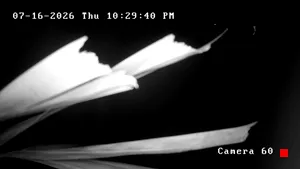 Caméra IP - PR
