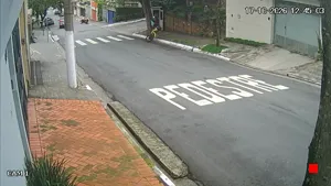 Caméra IP - BR