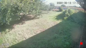 Caméra IP - UA