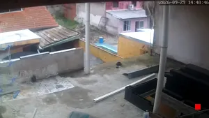 Caméra IP - AR