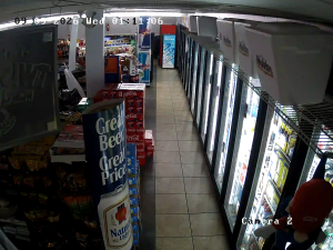 Caméra IP - US