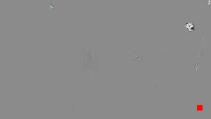 Caméra IP - IT