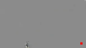 Caméra IP - RO