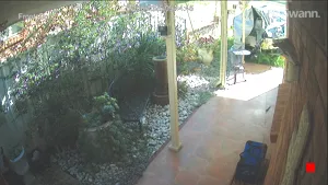Caméra IP - AU
