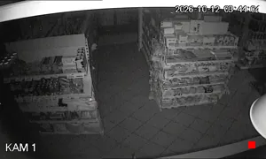 Caméra IP - PL