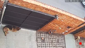 Caméra IP - AR