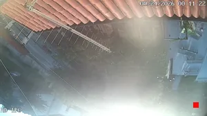 Caméra IP - IT