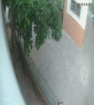 Caméra IP - MA
