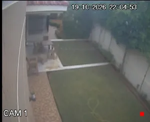 Caméra IP - TN