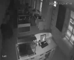 Caméra IP - EE