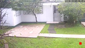 Caméra IP - UY