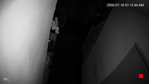Caméra IP - US
