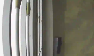 Caméra IP - BR