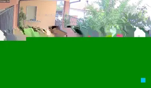 Caméra IP - IT