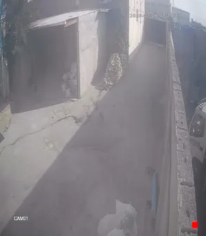 Caméra IP - IR