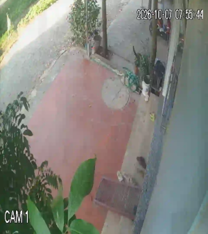 Caméra IP - VN