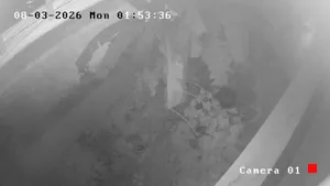 Caméra IP - TH