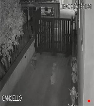 Caméra IP - IT