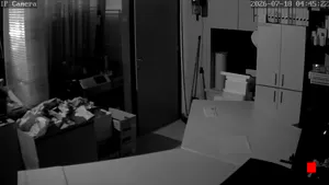 Caméra IP - IT