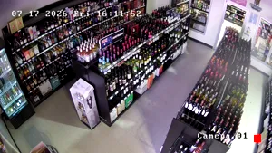 Caméra IP - CA
