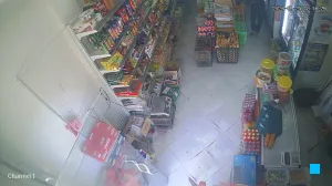 Caméra IP - DZ