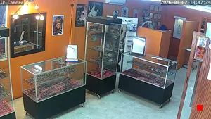 Caméra IP - MX