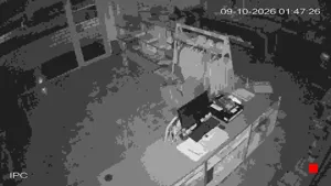Caméra IP - IT