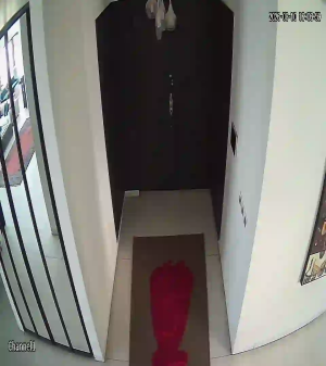 Caméra IP - IR