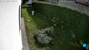 Caméra IP - IT