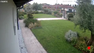 Caméra IP - IT