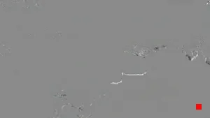 Caméra IP - ES