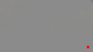 Caméra IP - RO