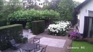 Caméra IP - NL