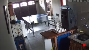 Caméra IP - AR