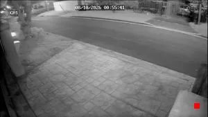 Caméra IP - ZA