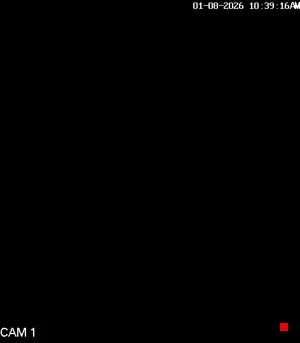 Caméra IP - IN