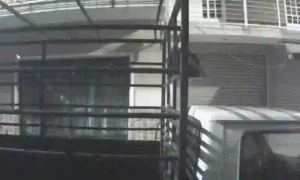 Caméra IP - MX