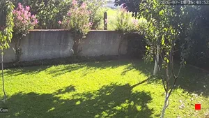 Caméra IP - IT
