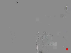 Caméra IP - IT