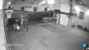 Caméra IP - IT