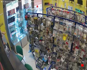 Caméra IP - IT