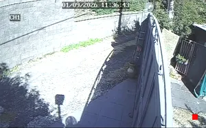 Caméra IP - IT