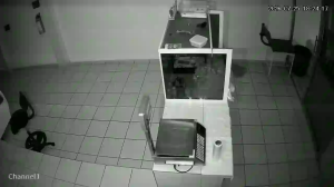 Caméra IP - MX