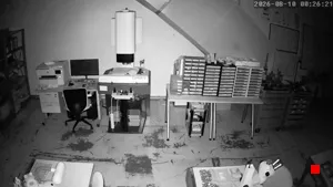 Caméra IP - TH
