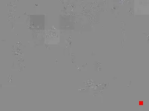 Caméra IP - IR