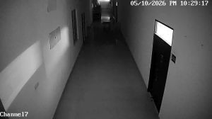 Caméra IP - IN