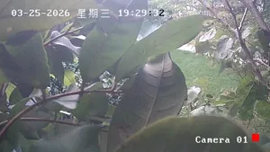Caméra IP - CN