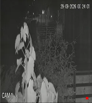 Caméra IP - IT
