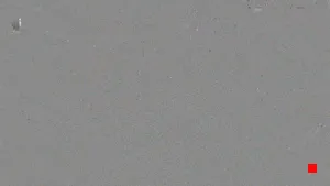 Caméra IP - IT